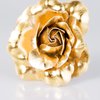 Load image into Gallery viewer, Hair Accessories - PETAL To The Metal - Gold Hair Clip
